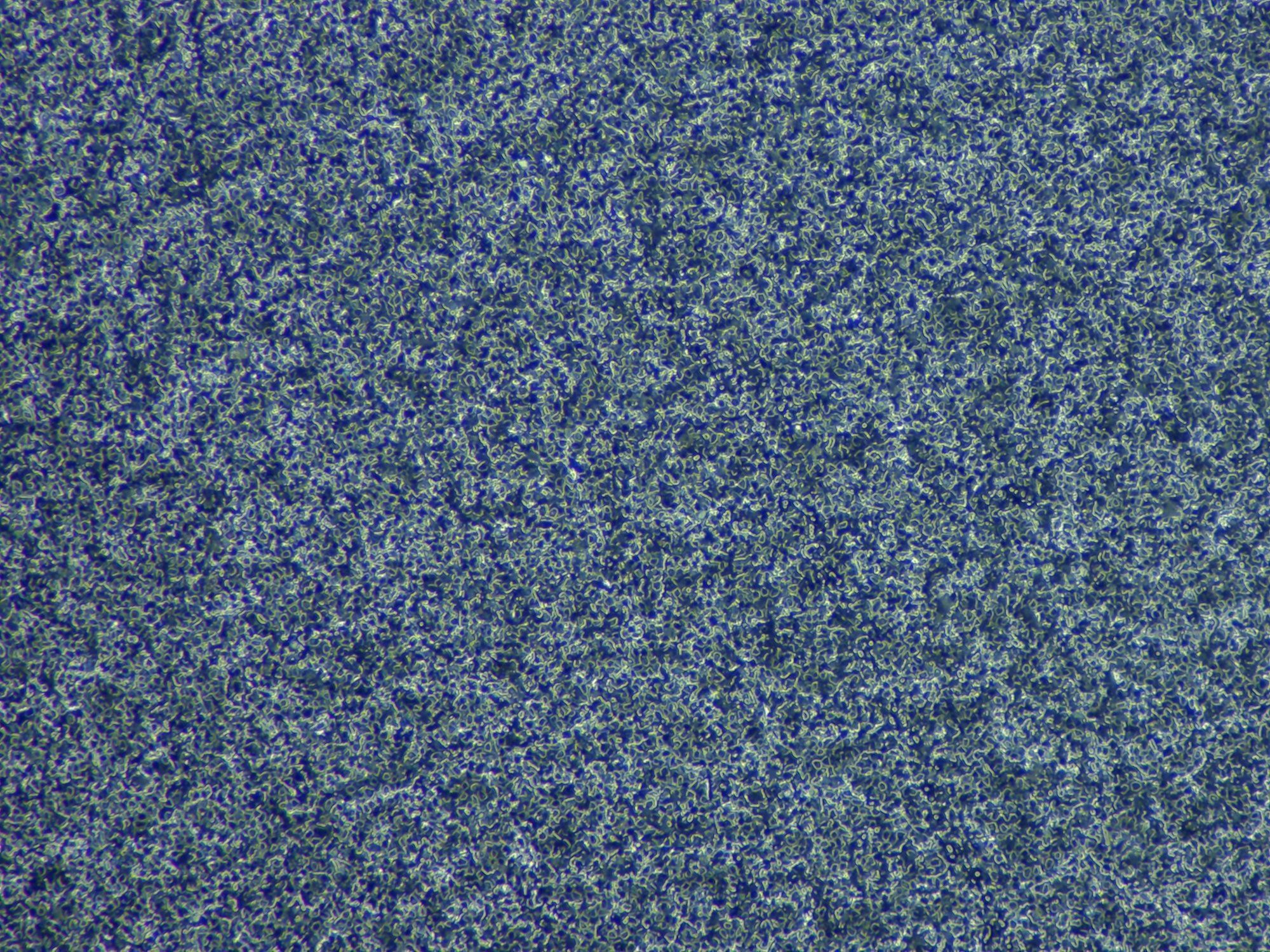 Набор для заточки TSPROF Профиль К03 Pro Hunter, 2026