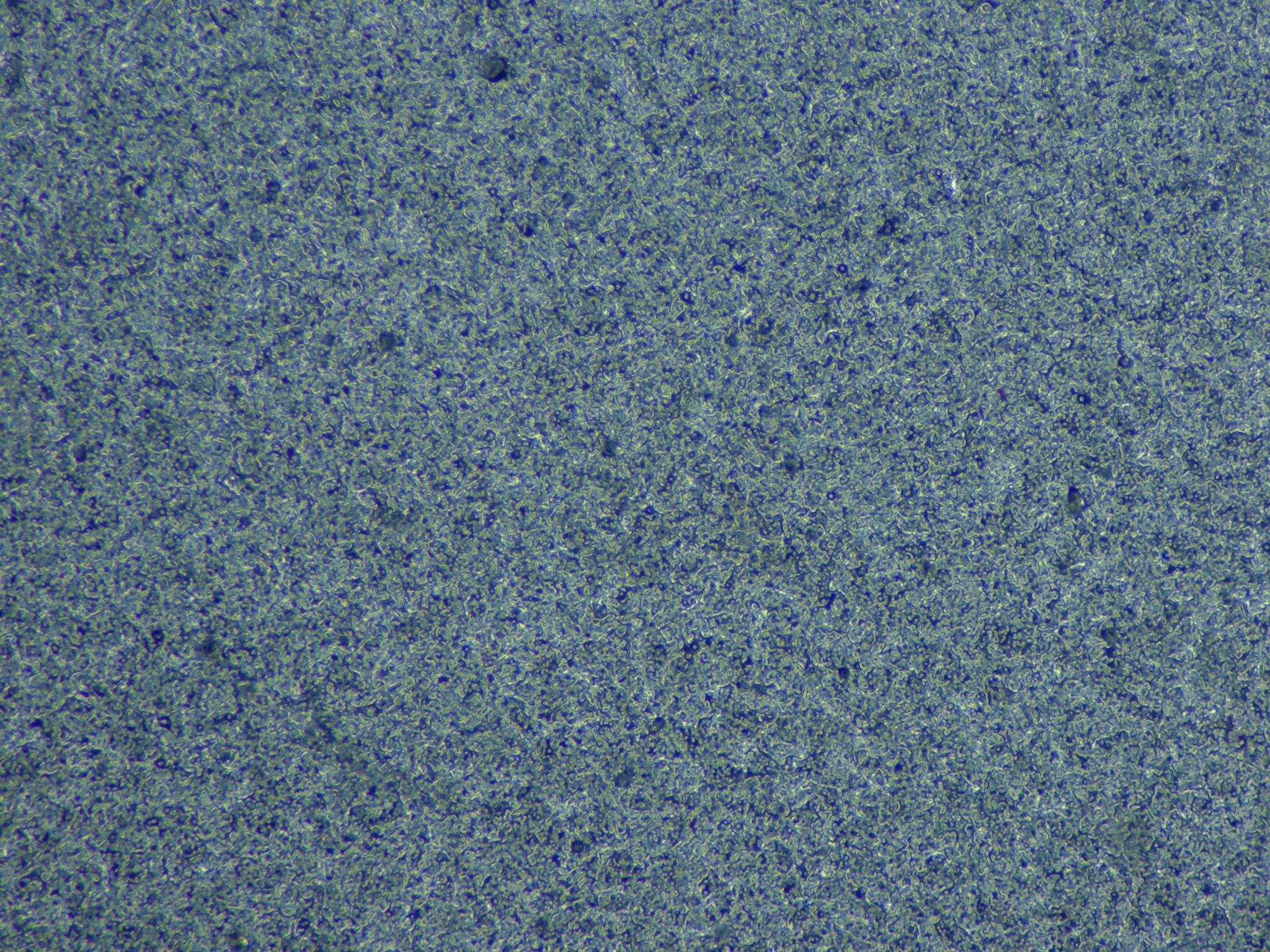 Набор для заточки TSPROF Профиль К03 Pro Hunter, 2026